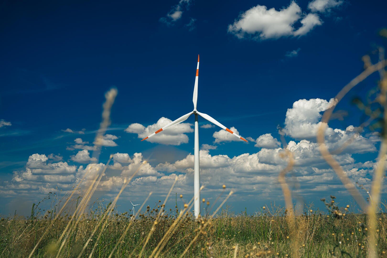A wind turbine stands in a grassy field under a deep blue sky with scattered white clouds. Tall grass and wildflowers are in the foreground.