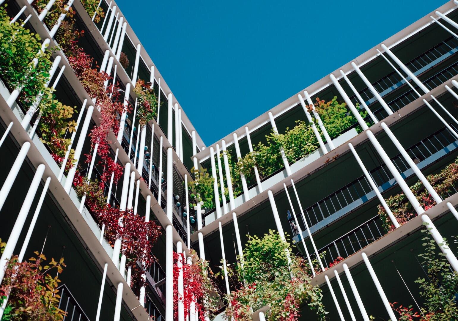 A modern residential building with green and red balconies, white vertical columns and a clear blue sky above. The photo is taken from a low angle and shows the building from above.