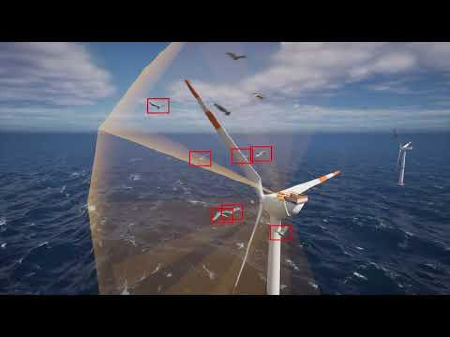 A wind turbine stands in the ocean with several birds flying nearby; red boxes highlight the birds in flight close to the spinning blades. Another turbine is visible in the background under a blue, cloudy sky.