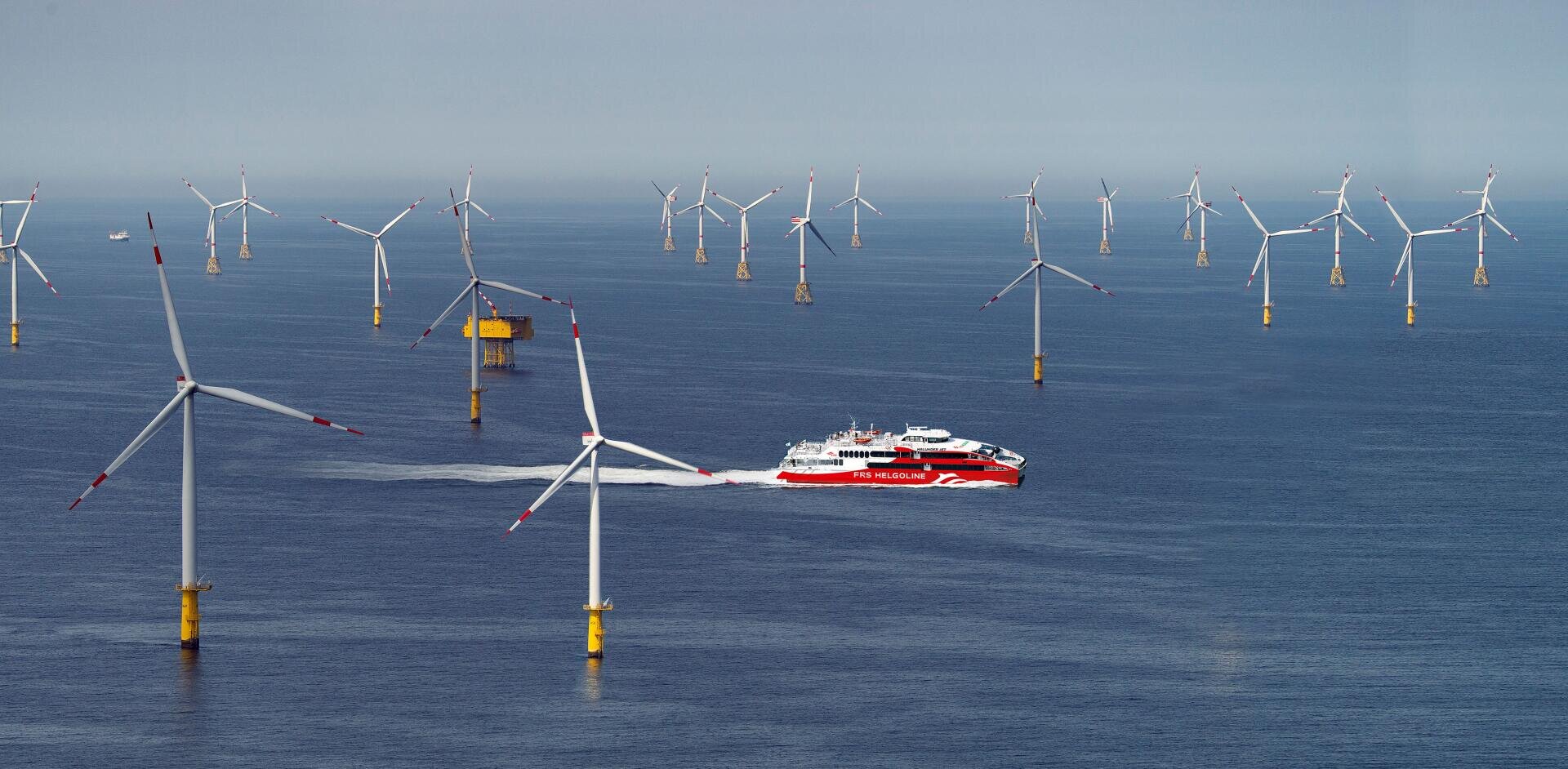 Eine rot-weiße Fähre fährt durch einen Offshore-Windpark, umgeben von zahlreichen Windrädern, die unter klarem Himmel im Meer stehen.